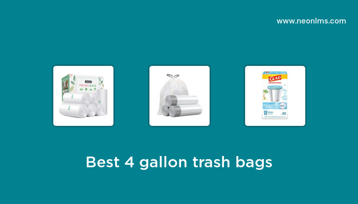 Best 4 Gallon Trash Bags 3087 