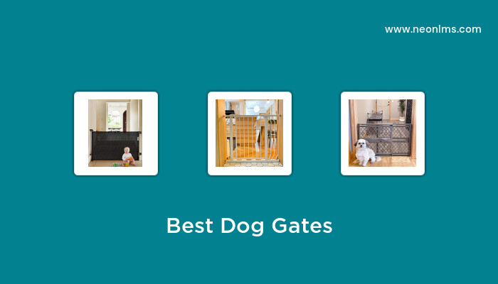 Best Dog Gates in 2023 - Buying Guide