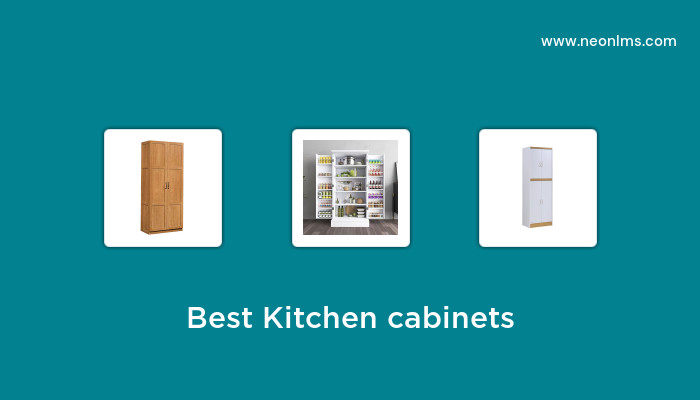 Best Kitchen Cabinets 2781 