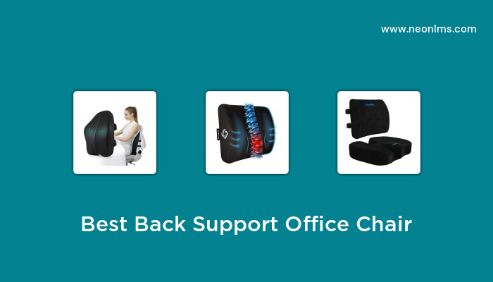 Best Back Support Office Chair 4260 
